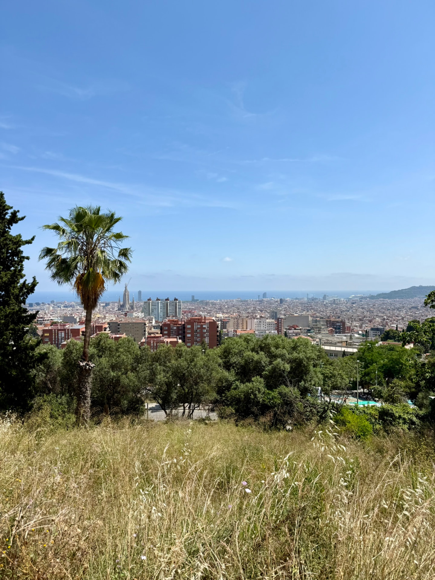 Vue sur Barcelone depuis les hauteurs